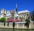 Notre Dame Cathedral, Paris